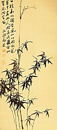 本子全彩ACG★无翼乌52kkm：色彩斑斓的ACG画卷，描绘青春无限魅力-3