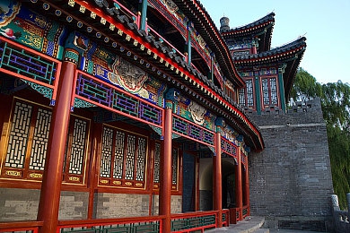 黄色应用下载大全：网络净化行动：揭秘非法应用，守护清朗空间-3
