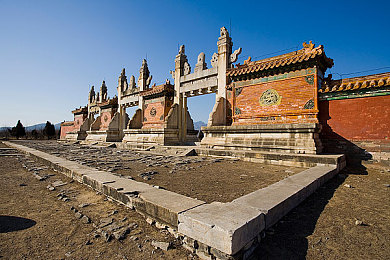 公交车系列：城市绿行，穿梭时空-2