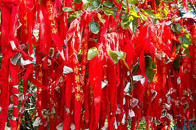 一起差30分：高考差距揭秘：教育资源均衡，公平竞争新篇章-4