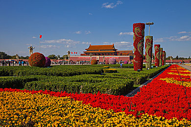 寻小小圆梦免费观看：梦想启航，圆梦之旅等你开启-5